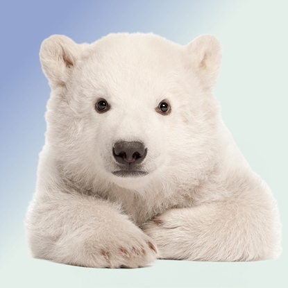 Juan  Hernandez Photo