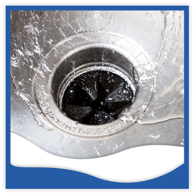 Garbage Disposal Services in Sarasota, FL & Manatee County 