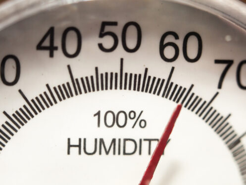 Hygrometer gauge showing high humidity levels